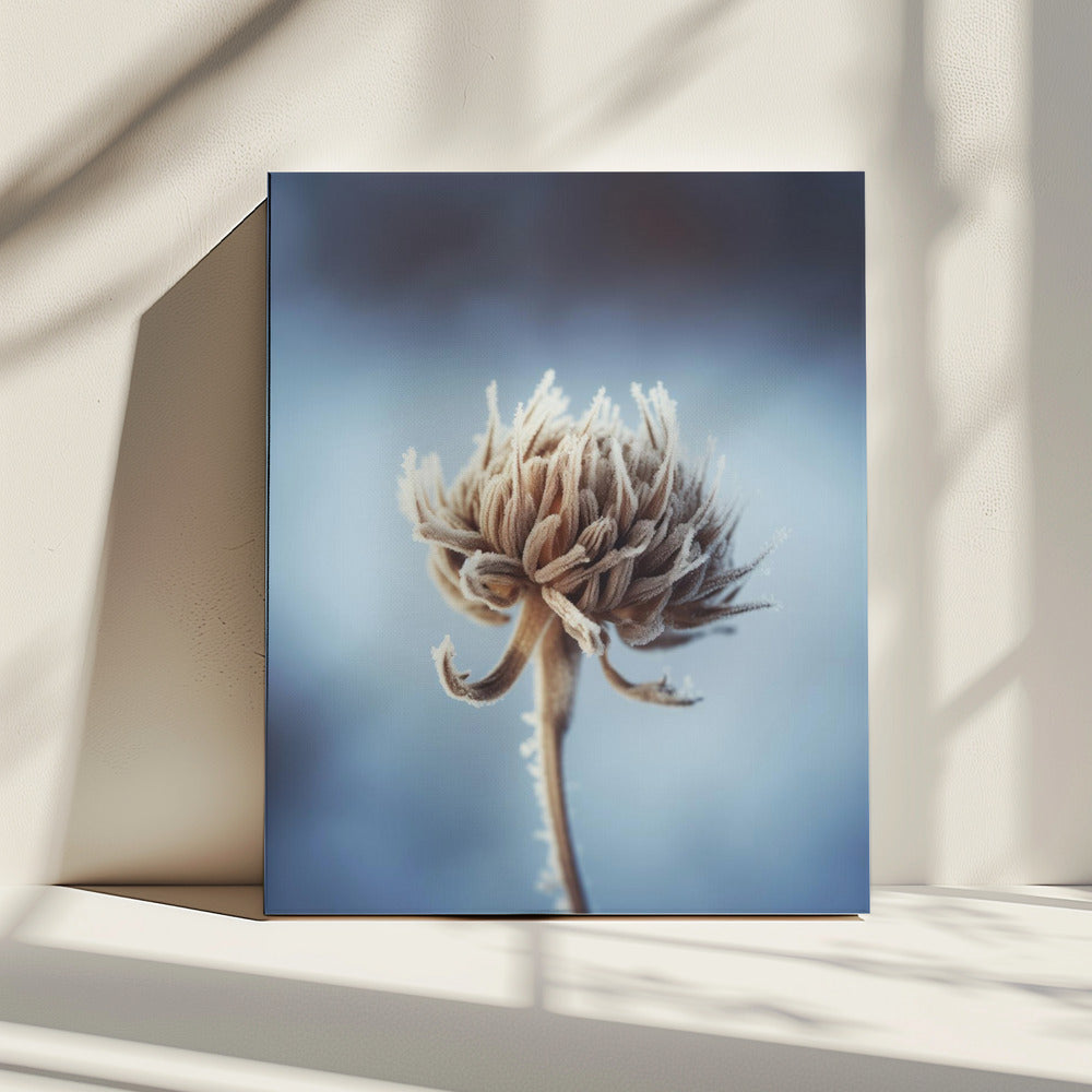 Frosted Blossom | Canvas