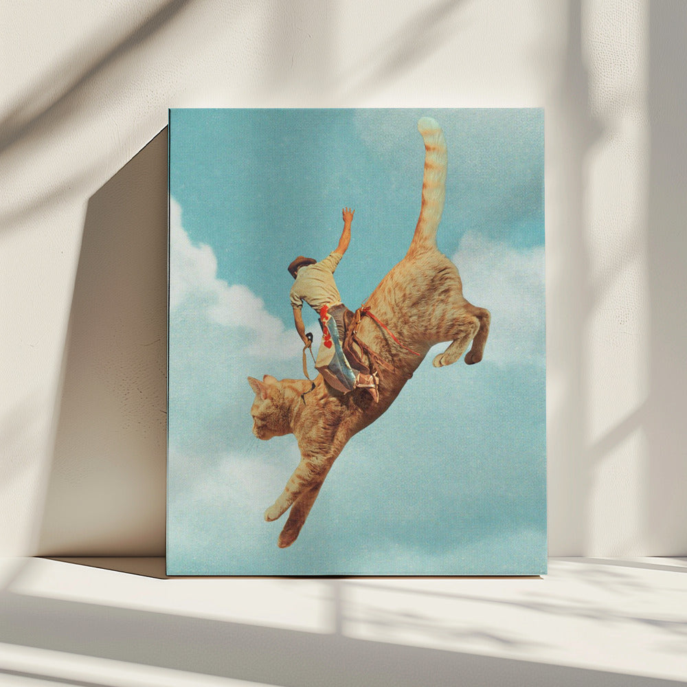 Meehaw   Rodio Cat | Canvas