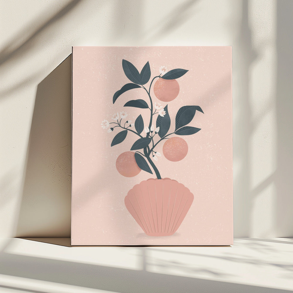 Tangerine Shell | Canvas