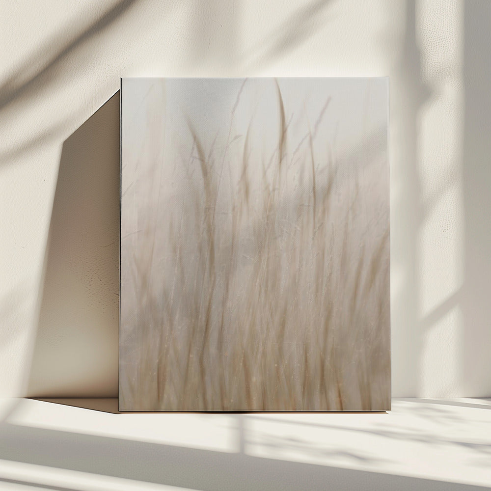 Meadow grass | Canvas
