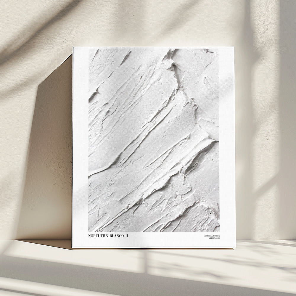 Northern Blanco No.II | Canvas