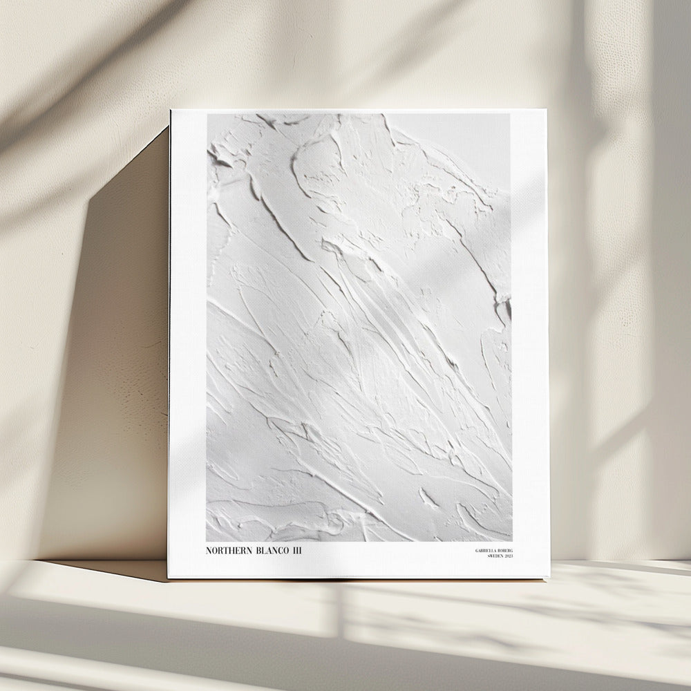 Northern Blanco No.III | Canvas