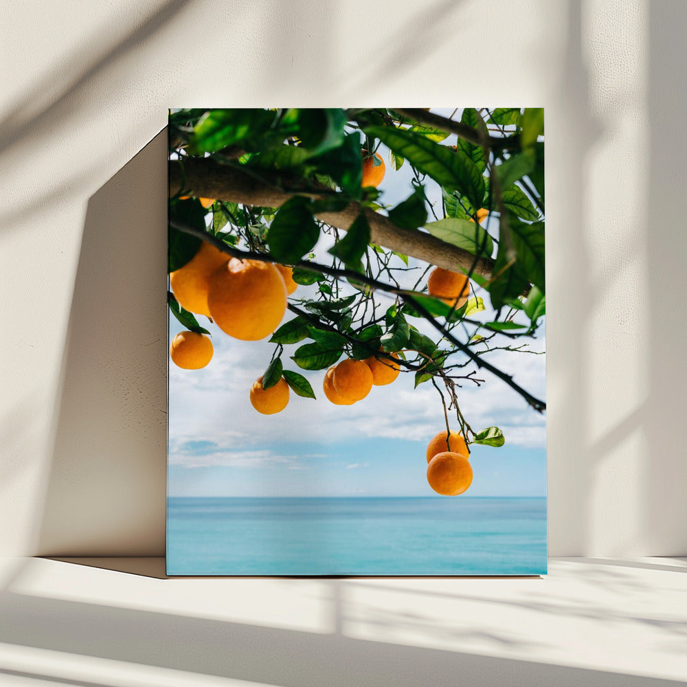 Amalfi Coast Oranges IV | Canvas