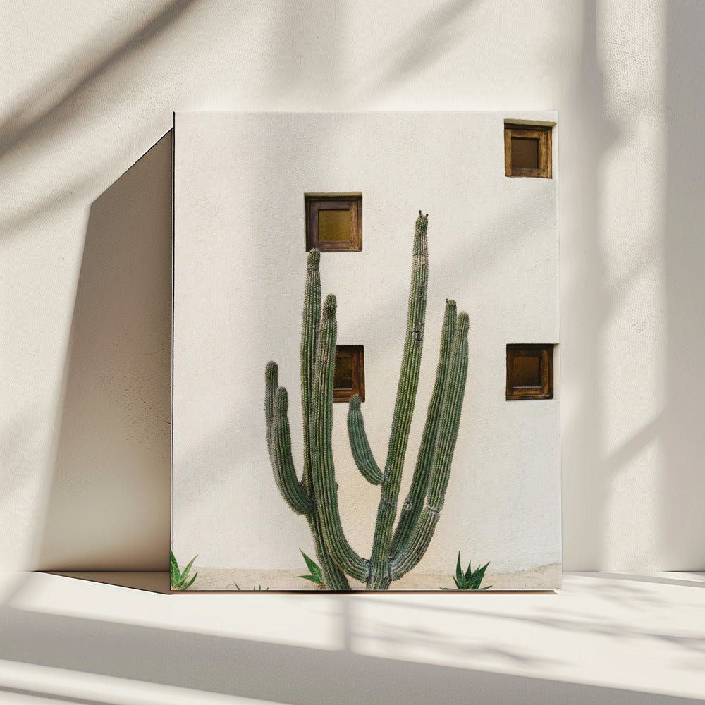 Cabo Cactus IX | Canvas
