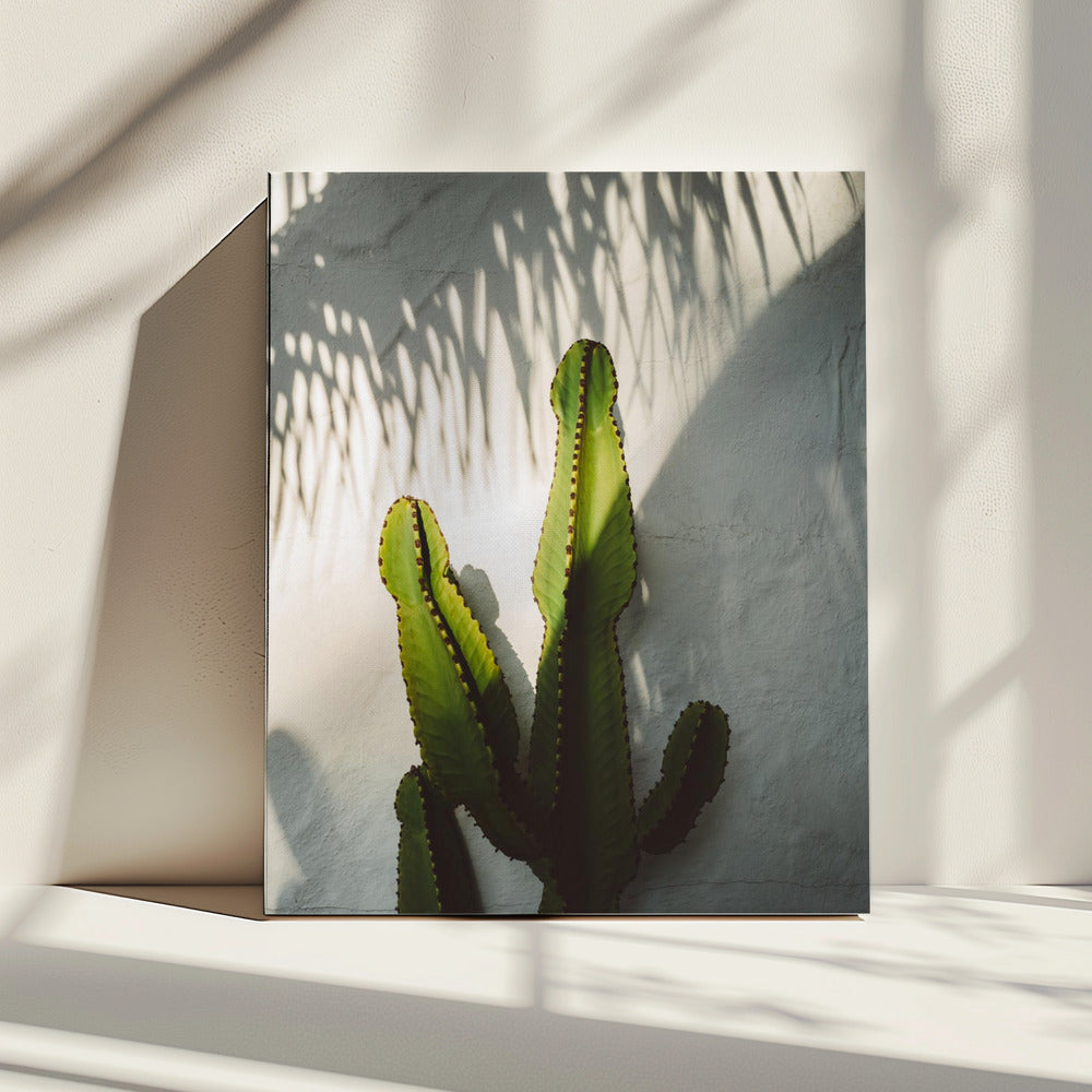 Socal Shadows | Canvas