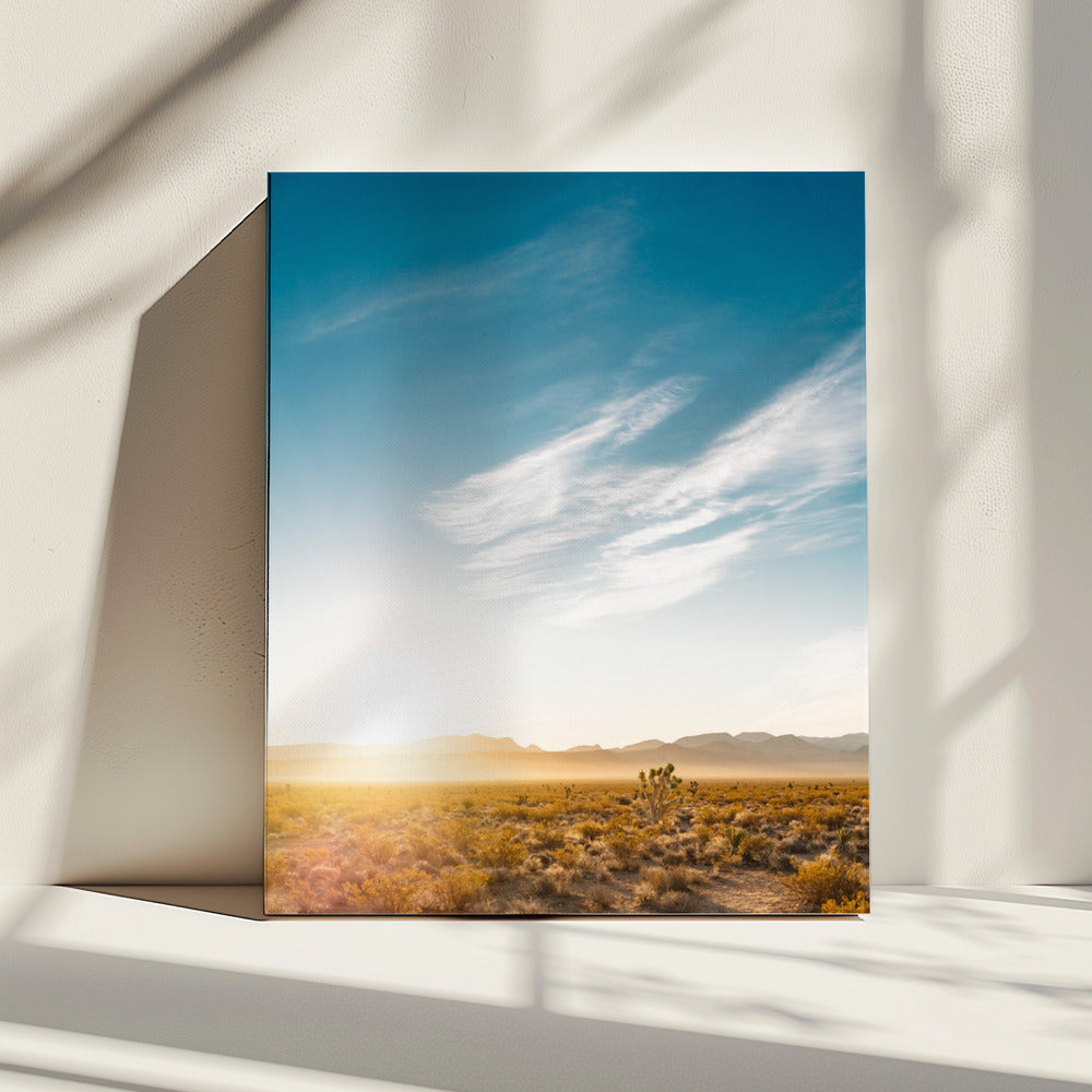 Nevada Desert Sunrise | Canvas