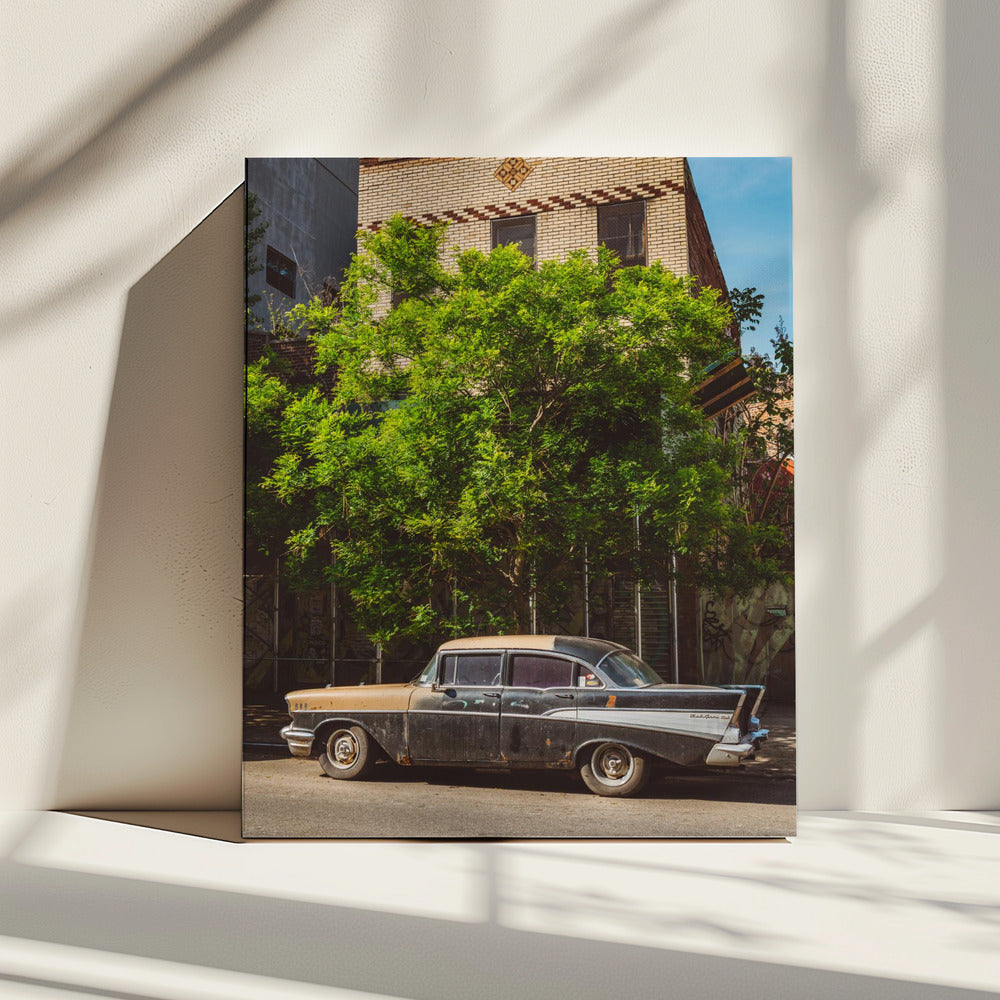 Brooklyn Ride | Canvas