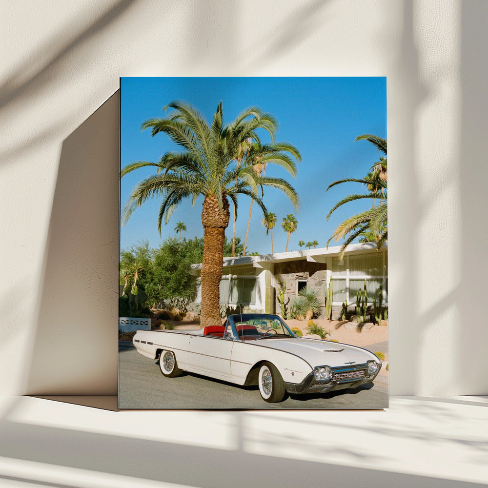 Palm Springs Thunderbird | Canvas