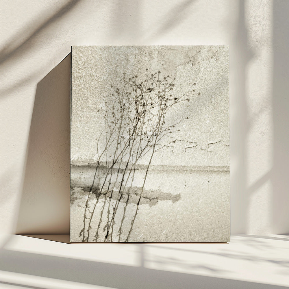 On the concrete | Canvas