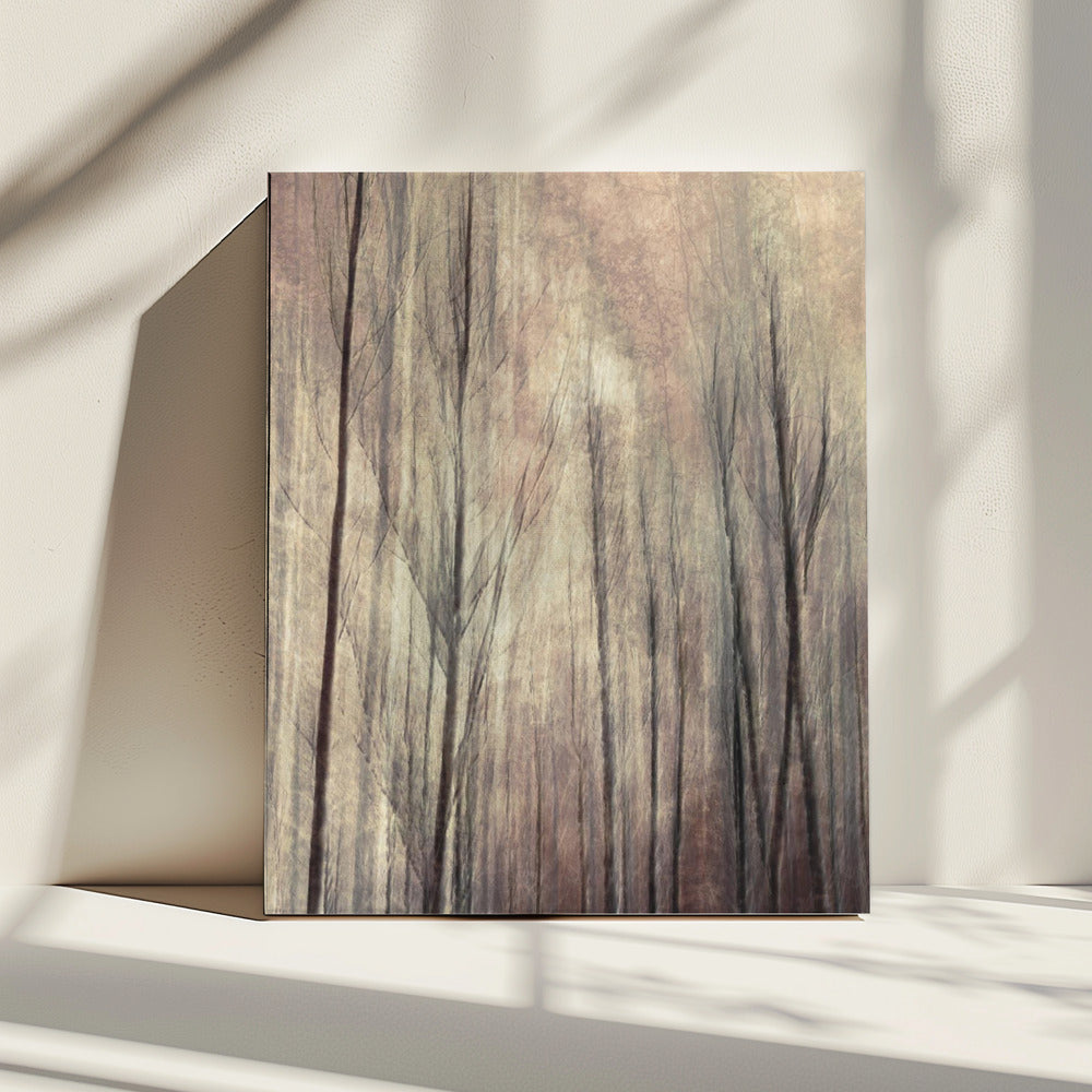 Fall forest | Canvas