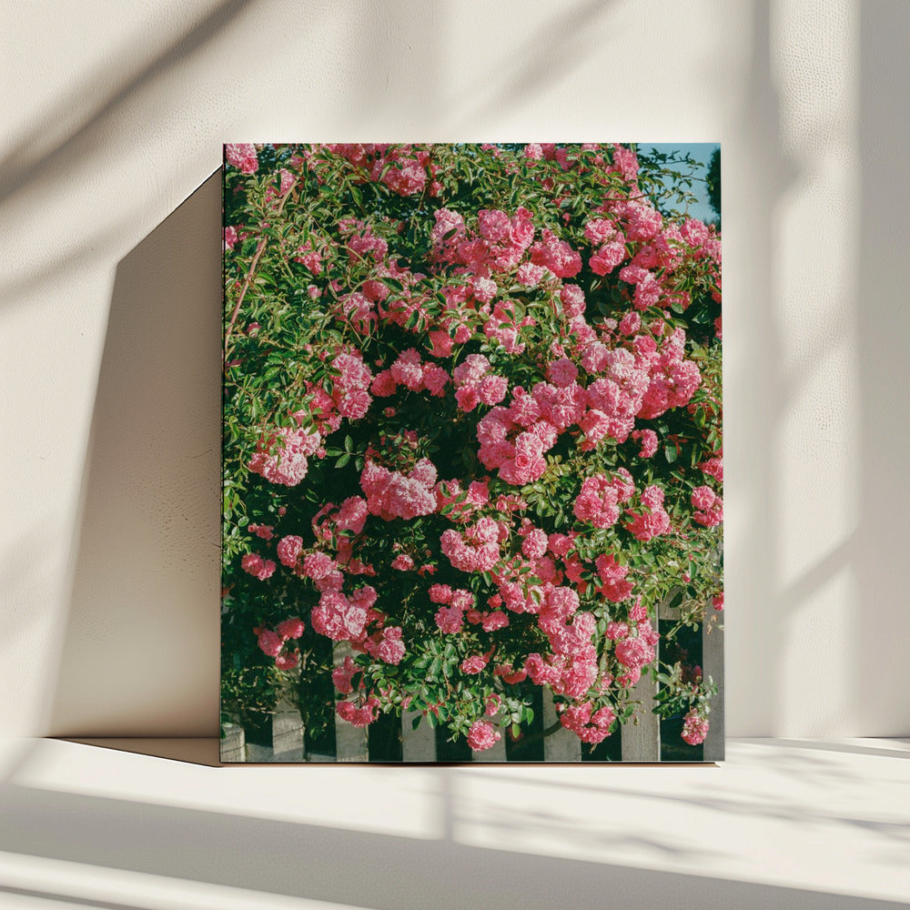 Cannon Beach Blooms | Canvas