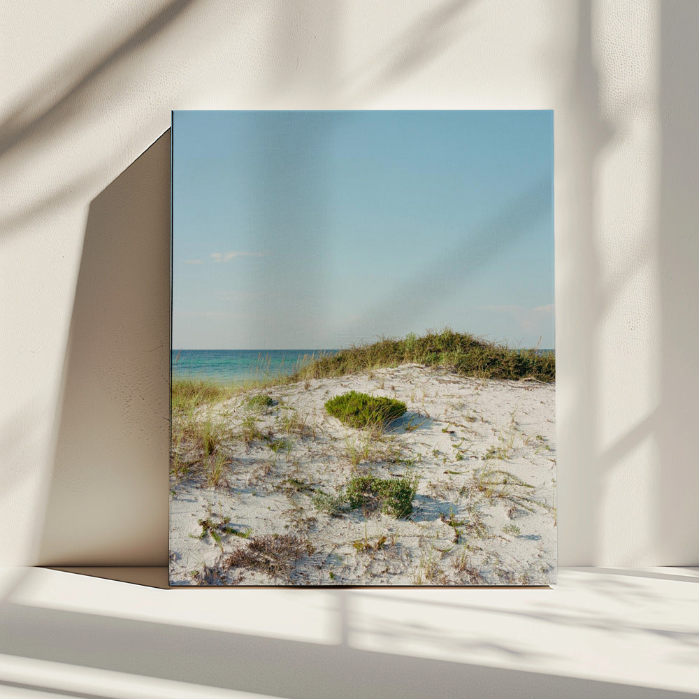 30a Dunes II | Canvas