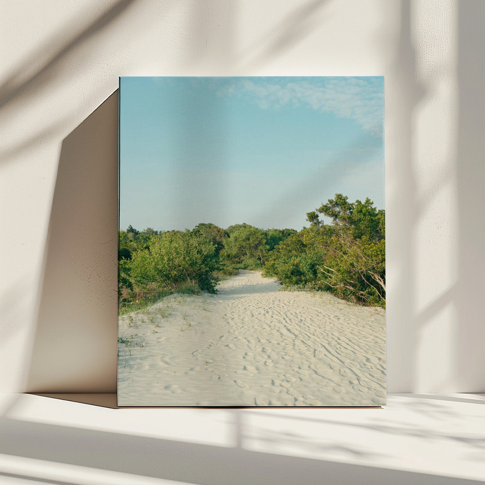 Sullivan&#039;s Island | Canvas