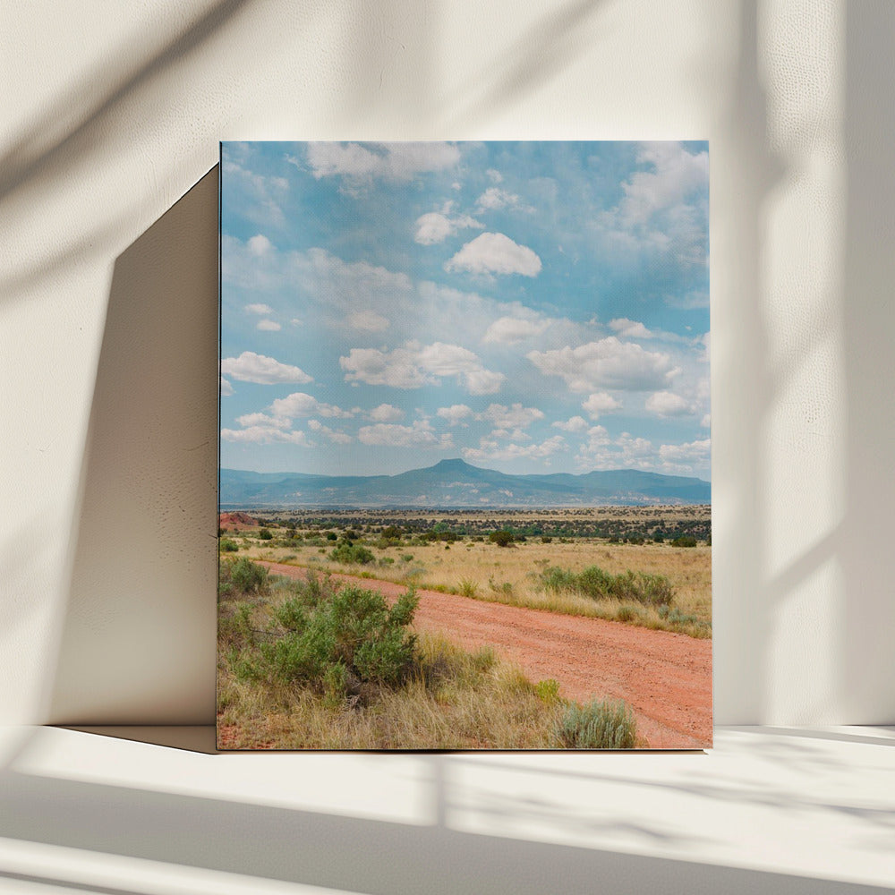 Ghost Ranch II | Canvas