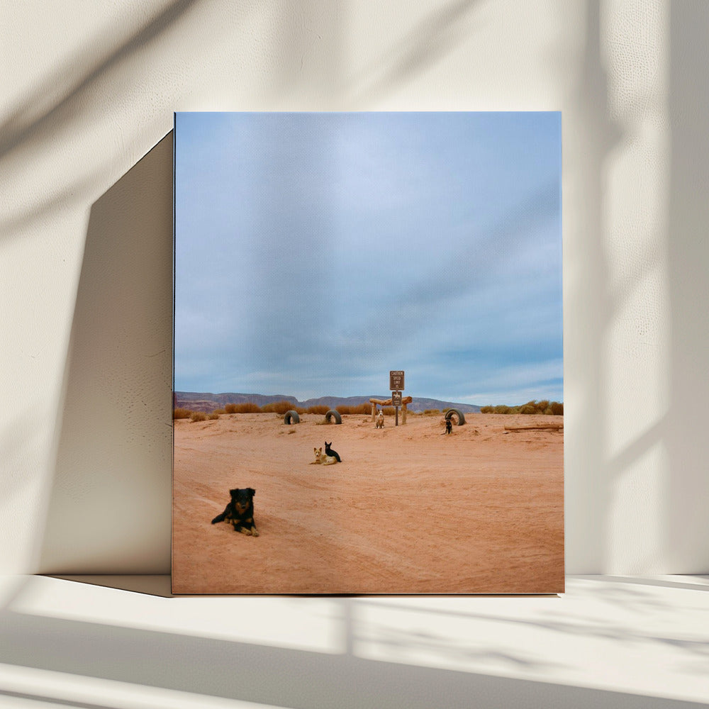 Monument Valley VIII | Canvas