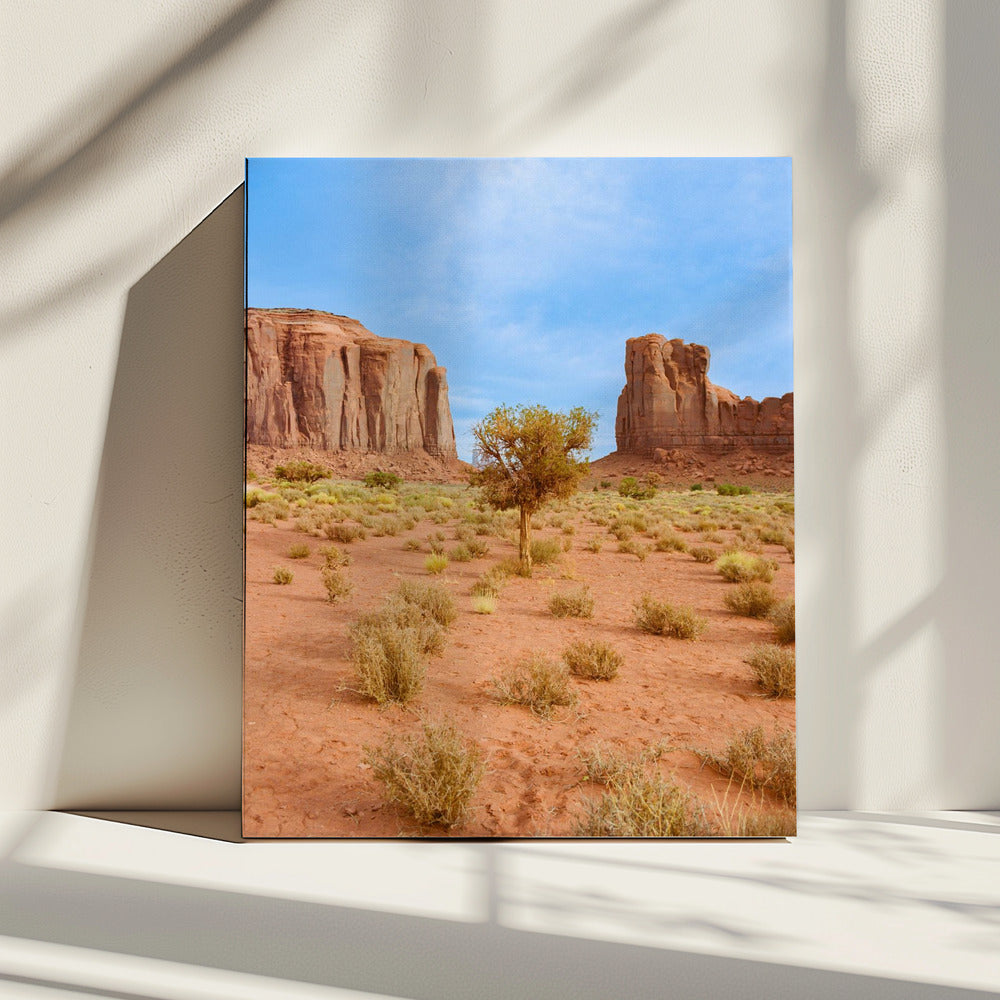 Monument Valley X | Canvas