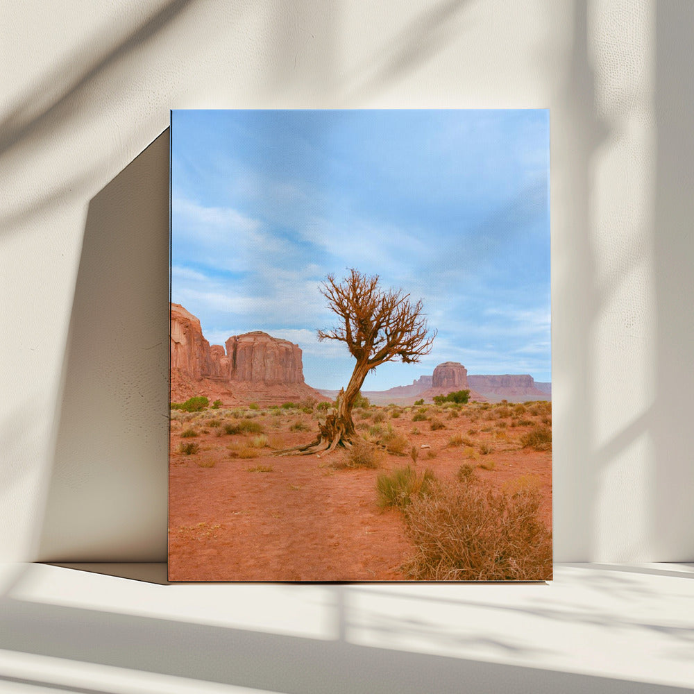 Monument Valley XI | Canvas