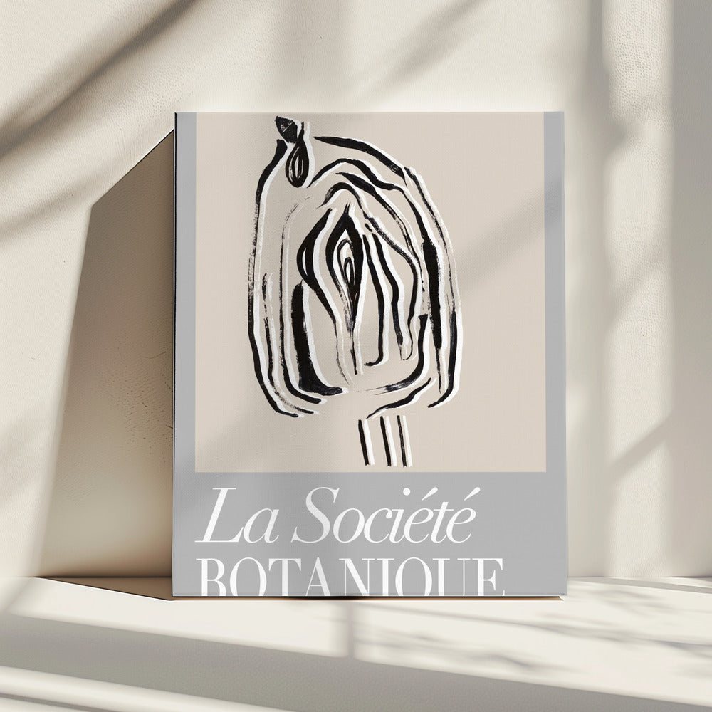 La Société Botanique Seed Pod | Canvas