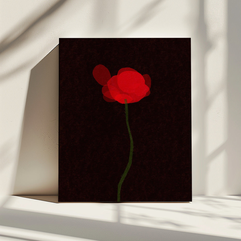 Poppy | Canvas