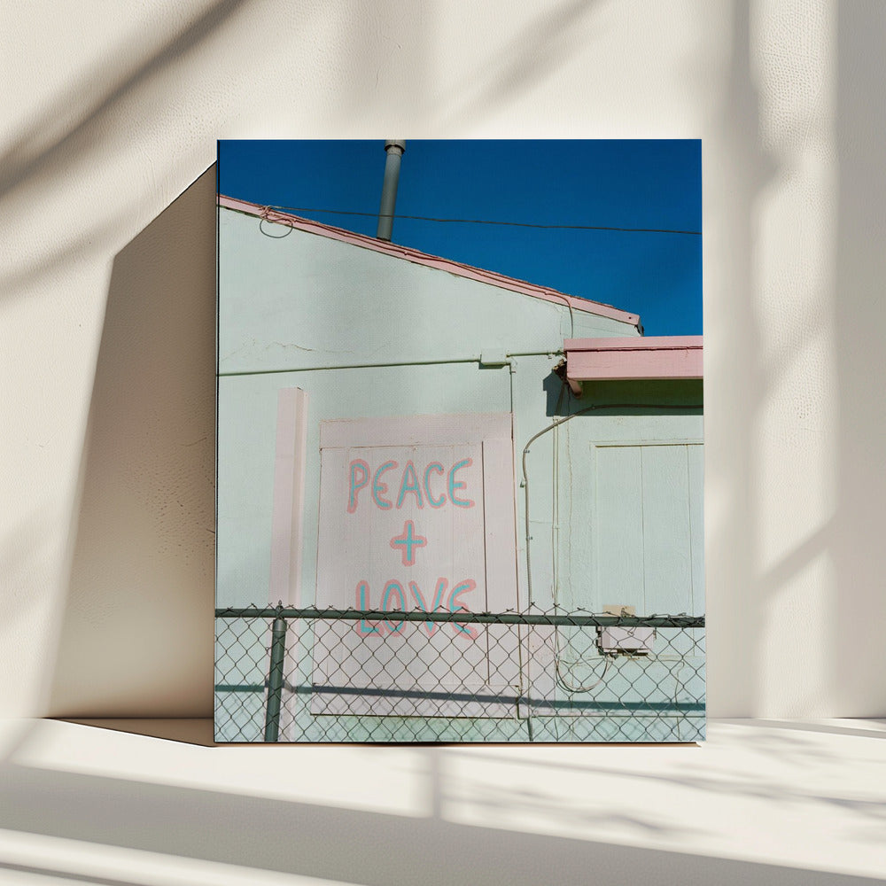 Joshua Tree Peace | Canvas