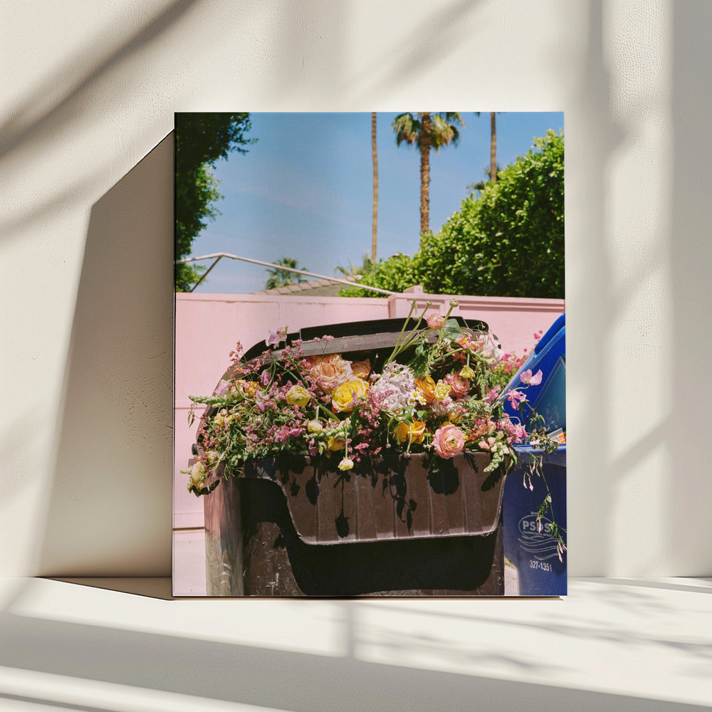 Palm Springs Curb | Canvas