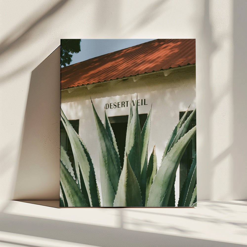 Desert Veil | Canvas