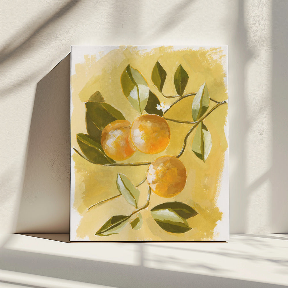 Orange Tree | Canvas