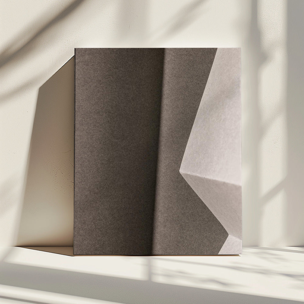 Papers and Shadows 1 | Canvas