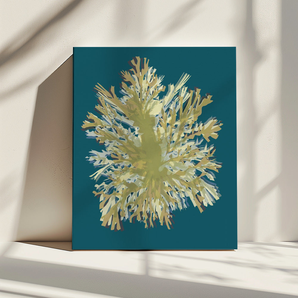 Seaweed  Poster 1 | Canvas