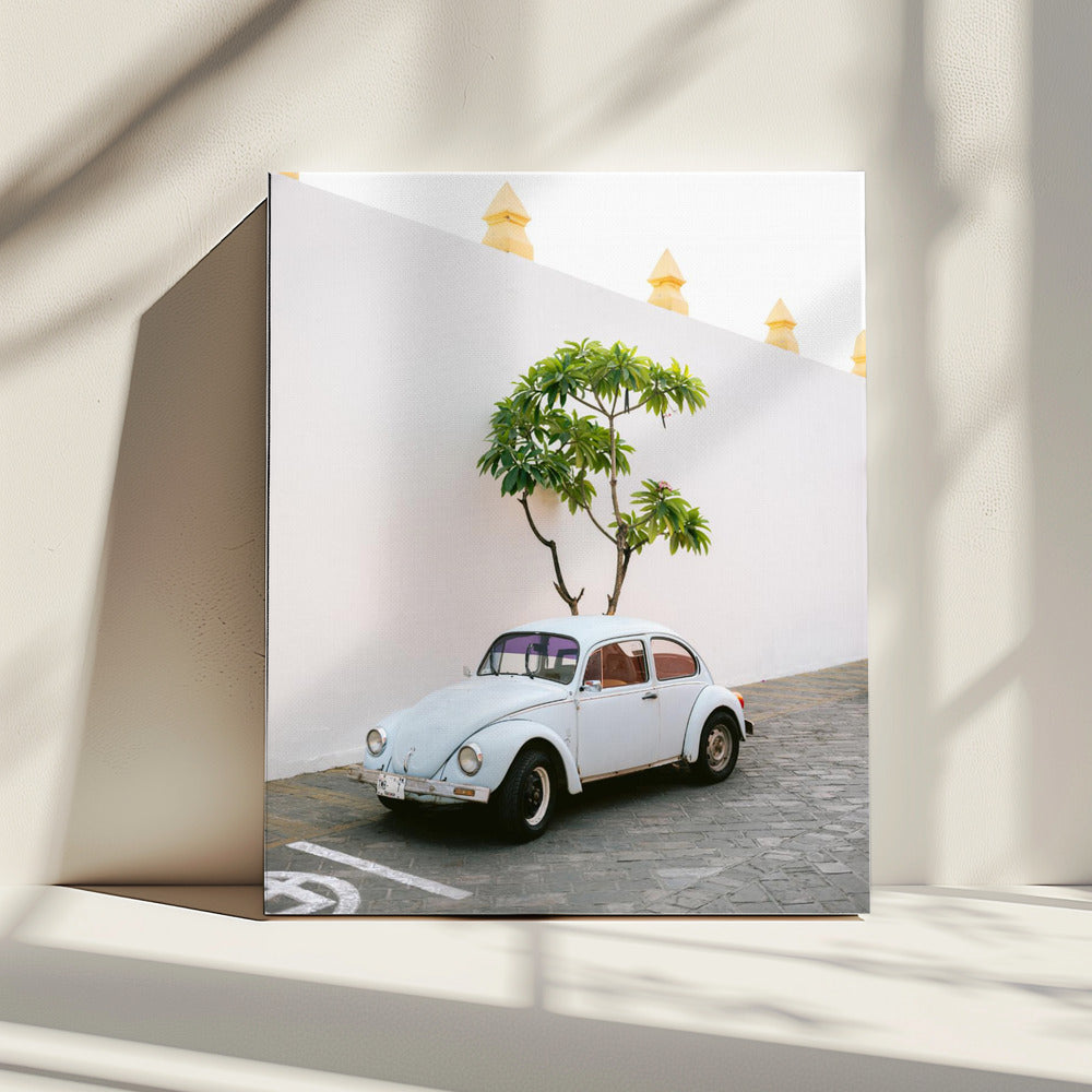 Pastel Volskwagen Beetle in the streets of Oaxaca Mexico | Canvas