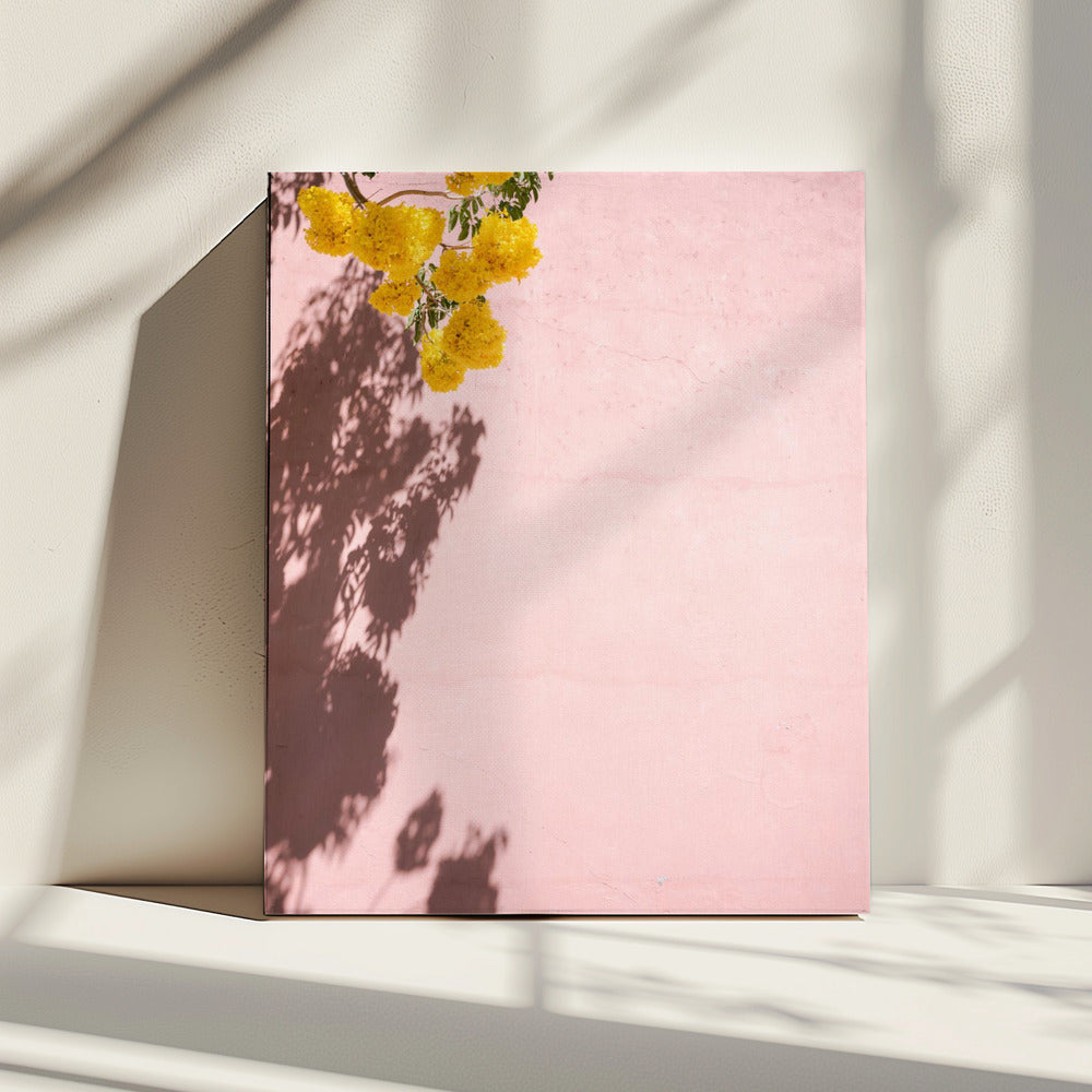 Yellow and Pink | Oaxaca Mexico | Canvas