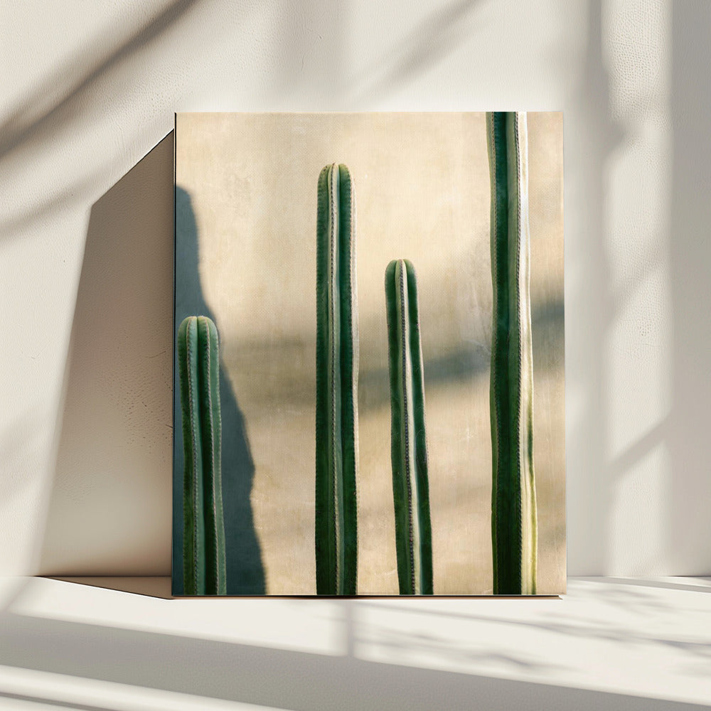 Oaxaca Shades of Green | Mexico travel photography | Canvas