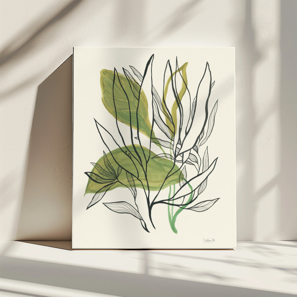 Foliage N.1 | Canvas