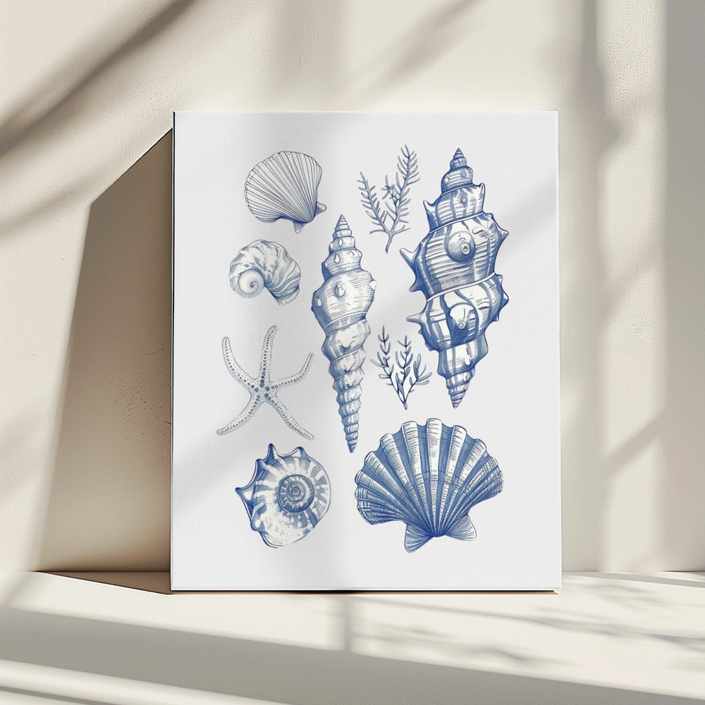 Shell Collage | Canvas