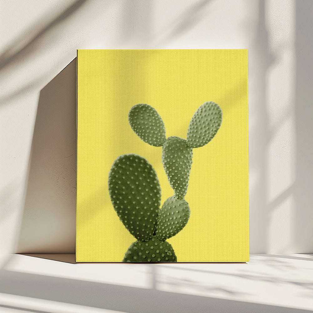 Yellow Cactus | Canvas