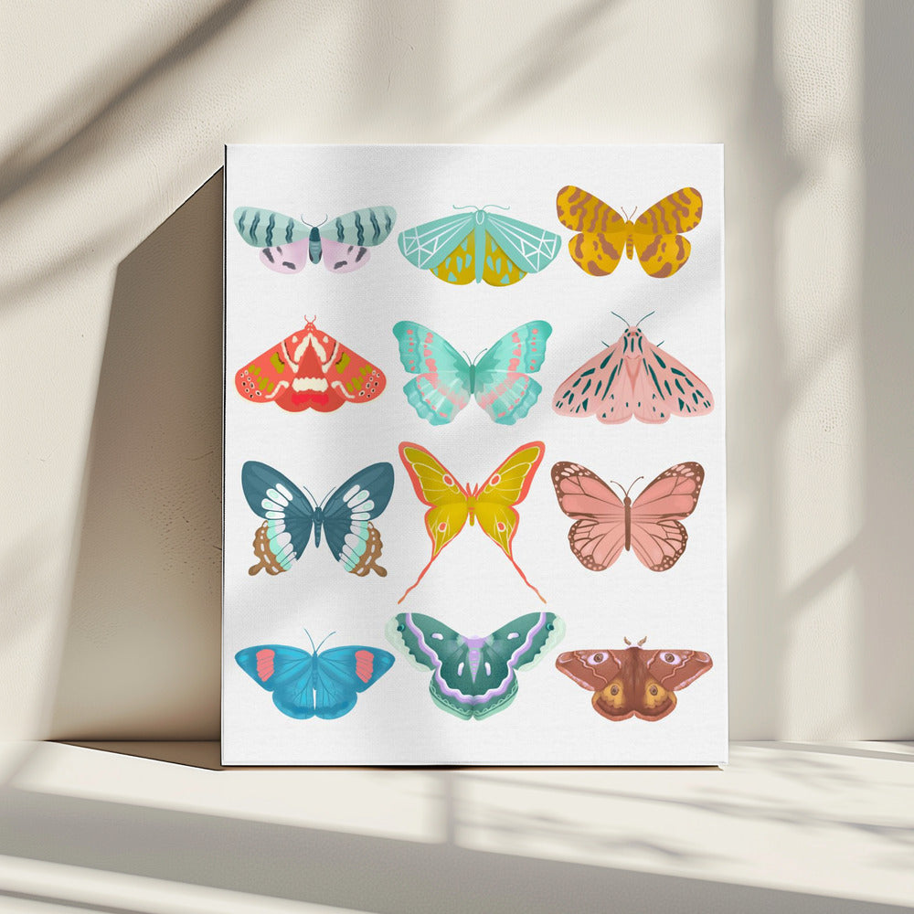 Butterfly | Canvas