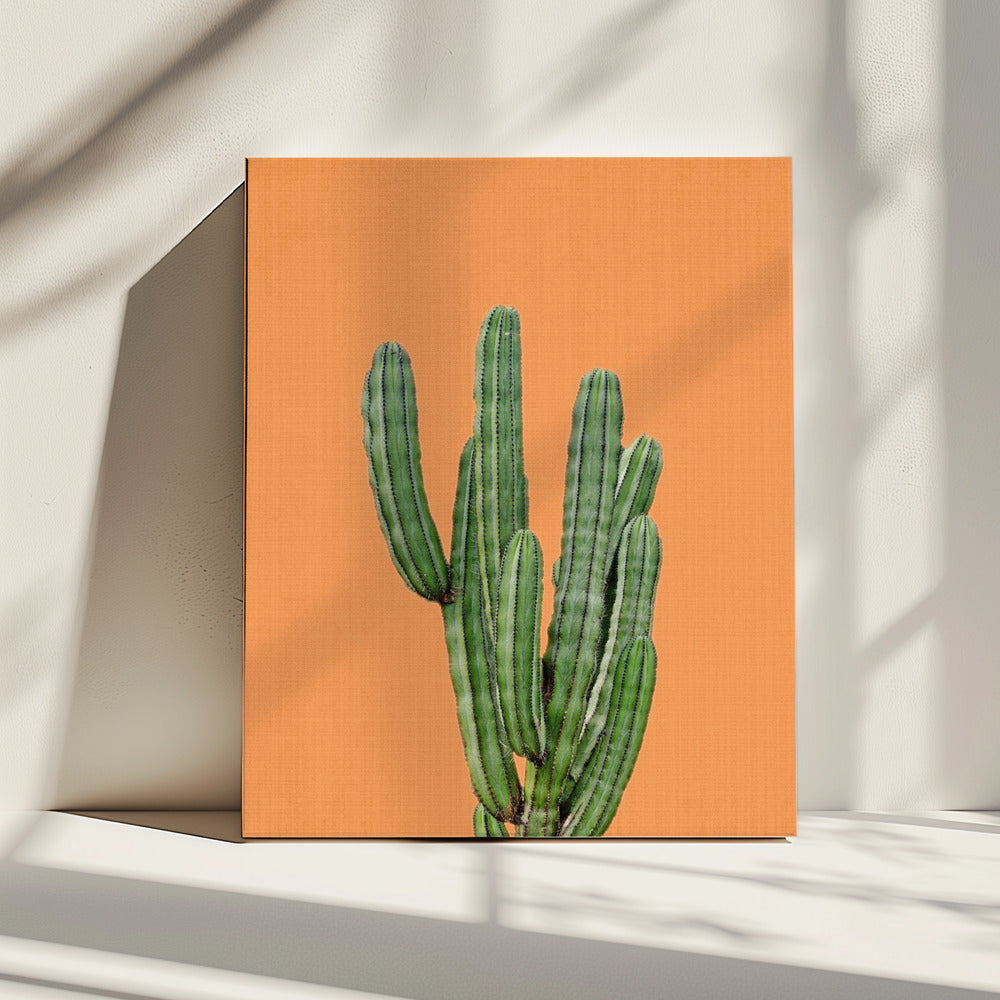 Orange Cactus | Canvas