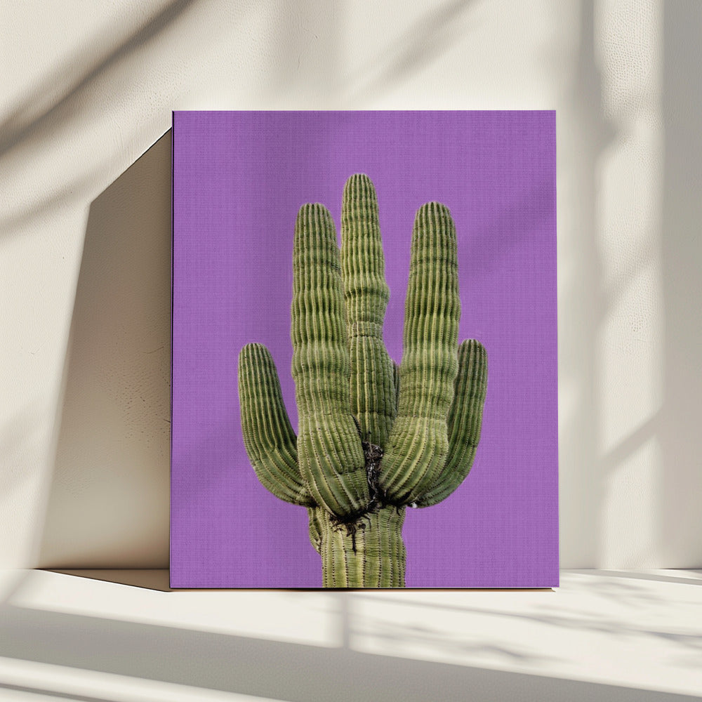 Purple Cactus | Canvas