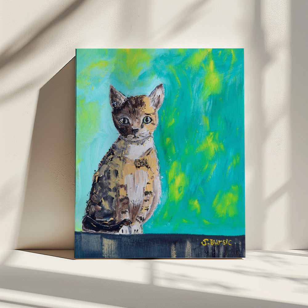 Kitten Waiting | Canvas