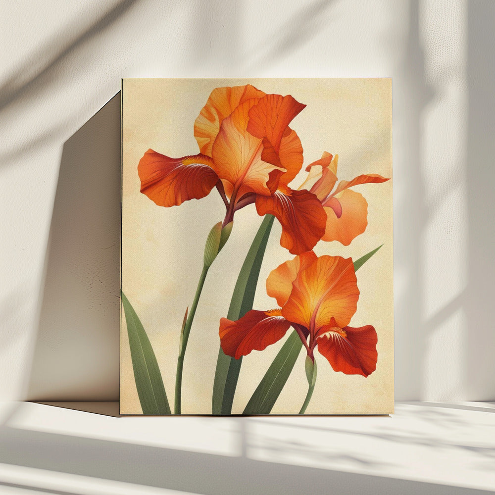 Poster Canvas Sng Iris 37 | Canvas