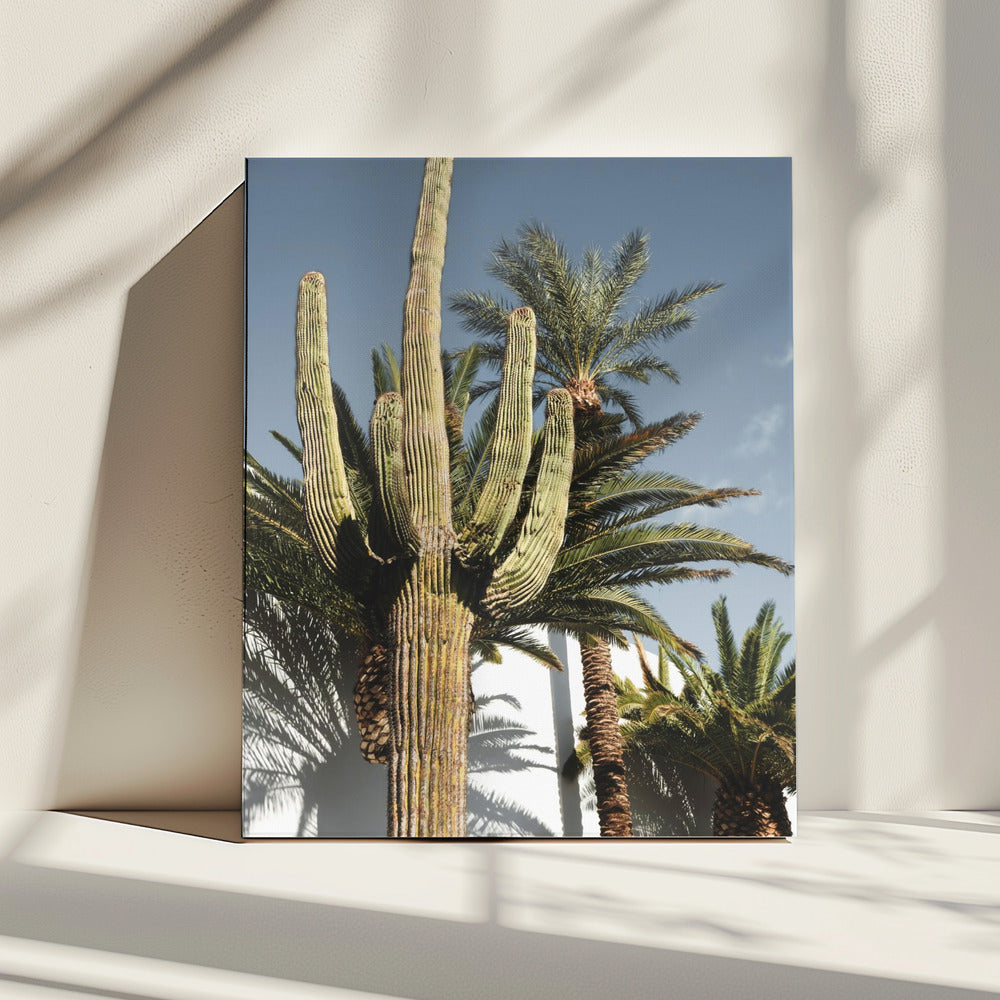 Cactus Las Vegas | Canvas