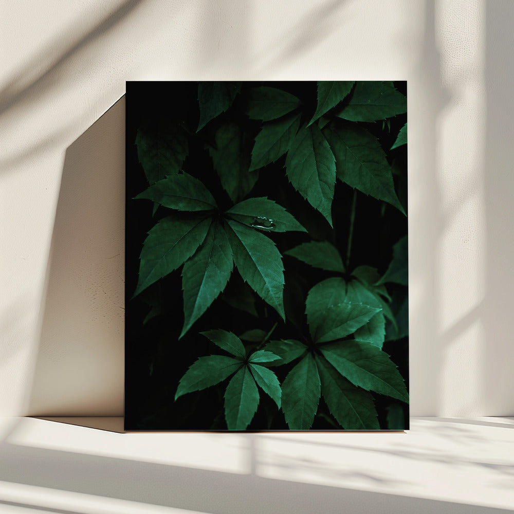 Dark Leaves 7 | Canvas