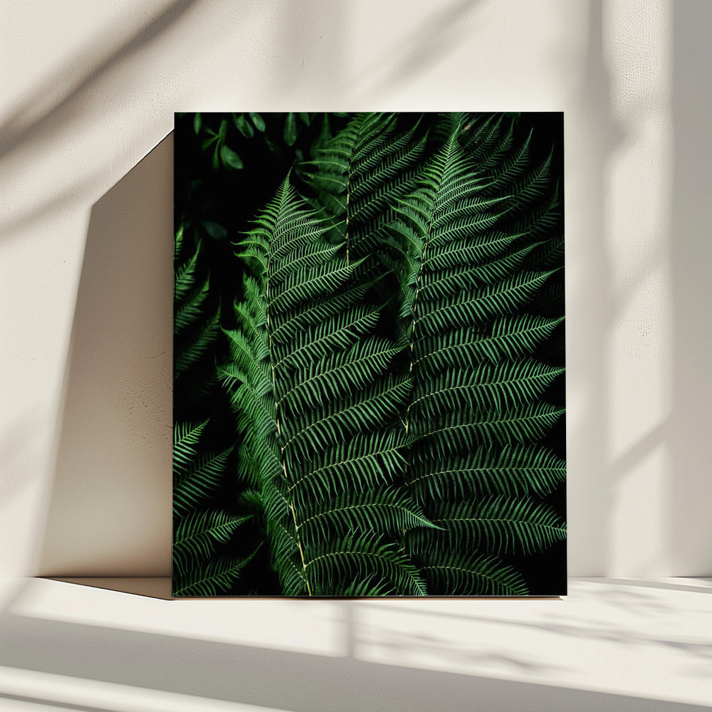 Dark Leaves 16 | Canvas