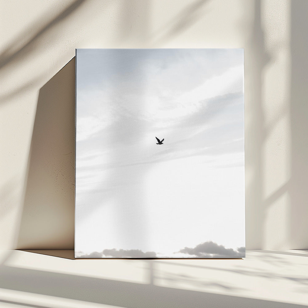 Flying High | Canvas