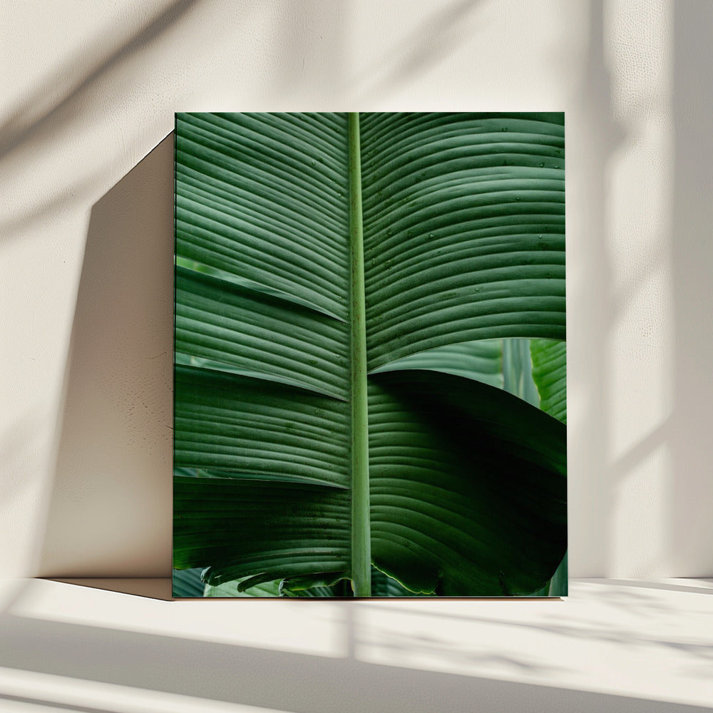 Leaves 15 | Canvas