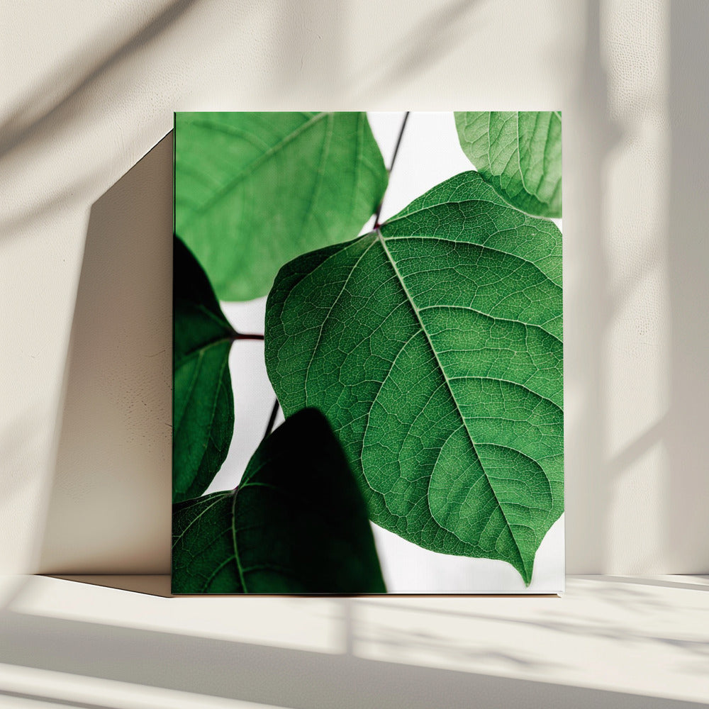 Summer Branches 2 | Canvas