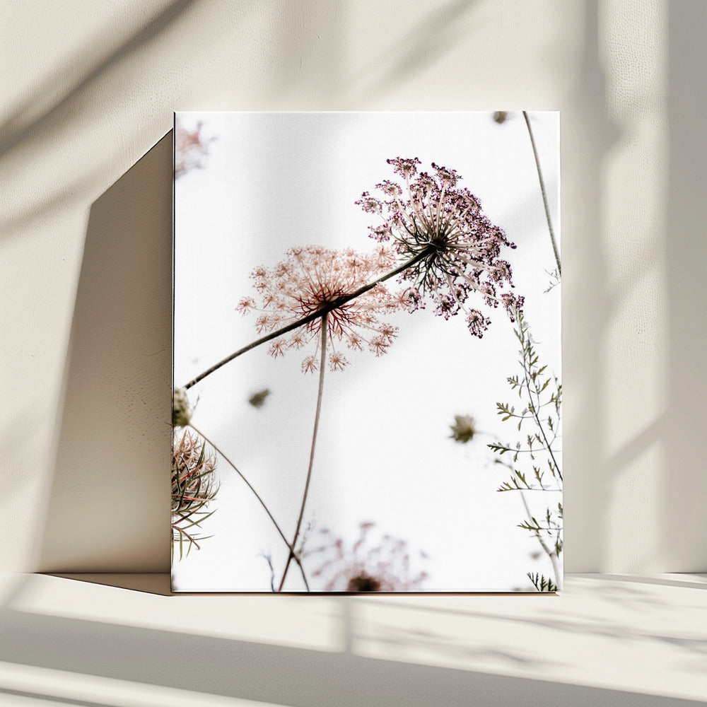 Summer Flowers | Canvas