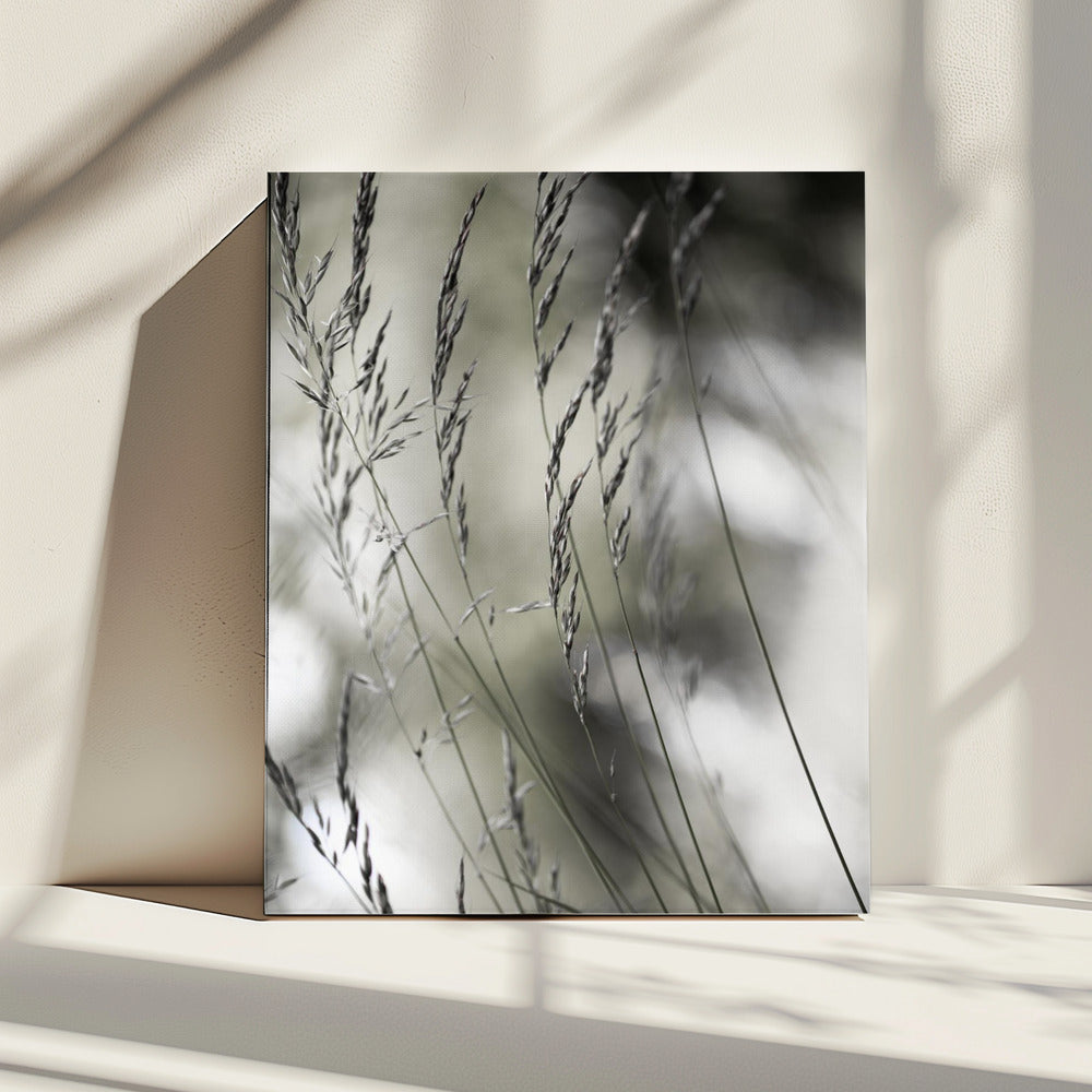Summer Grass 1 | Canvas