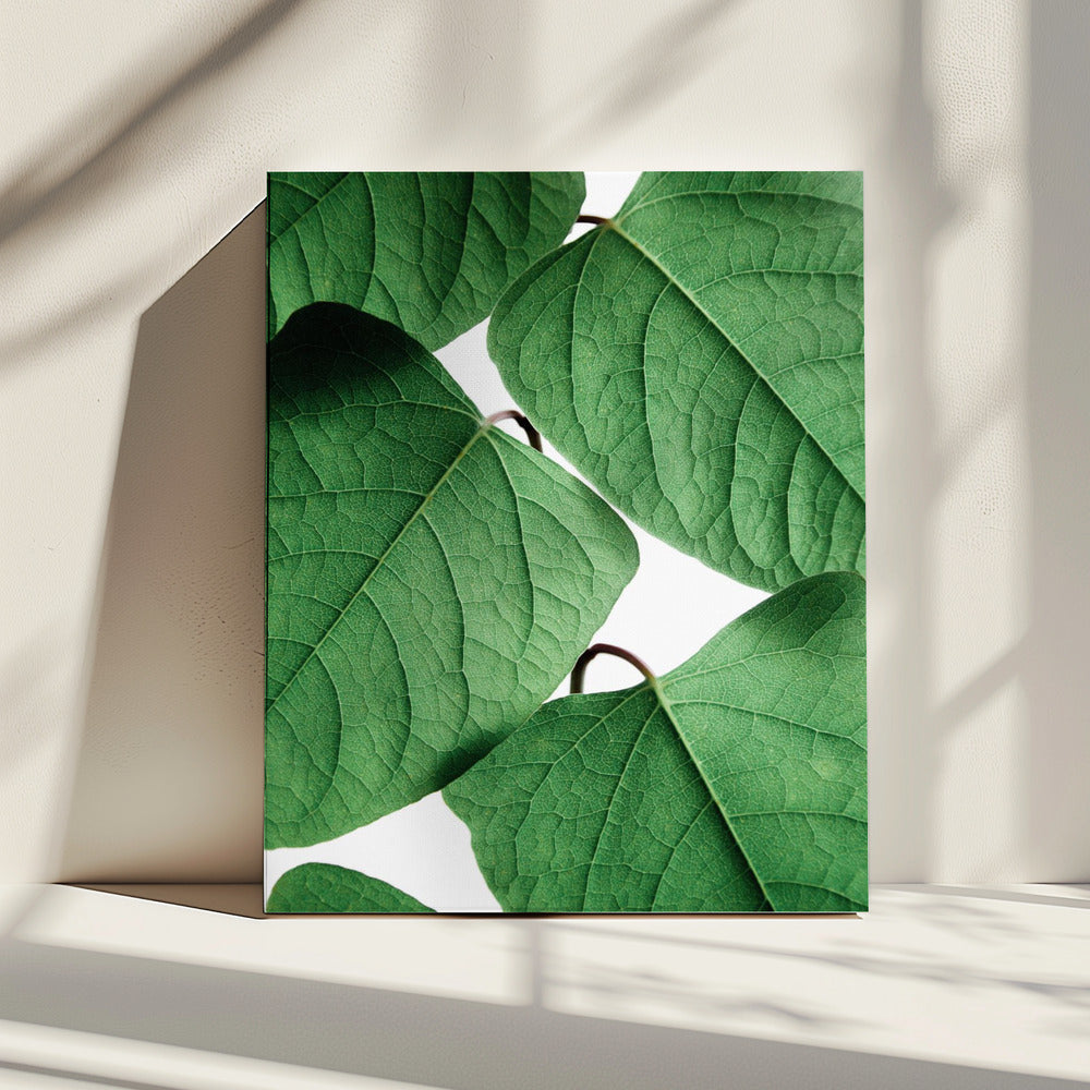Summer Branches | Canvas