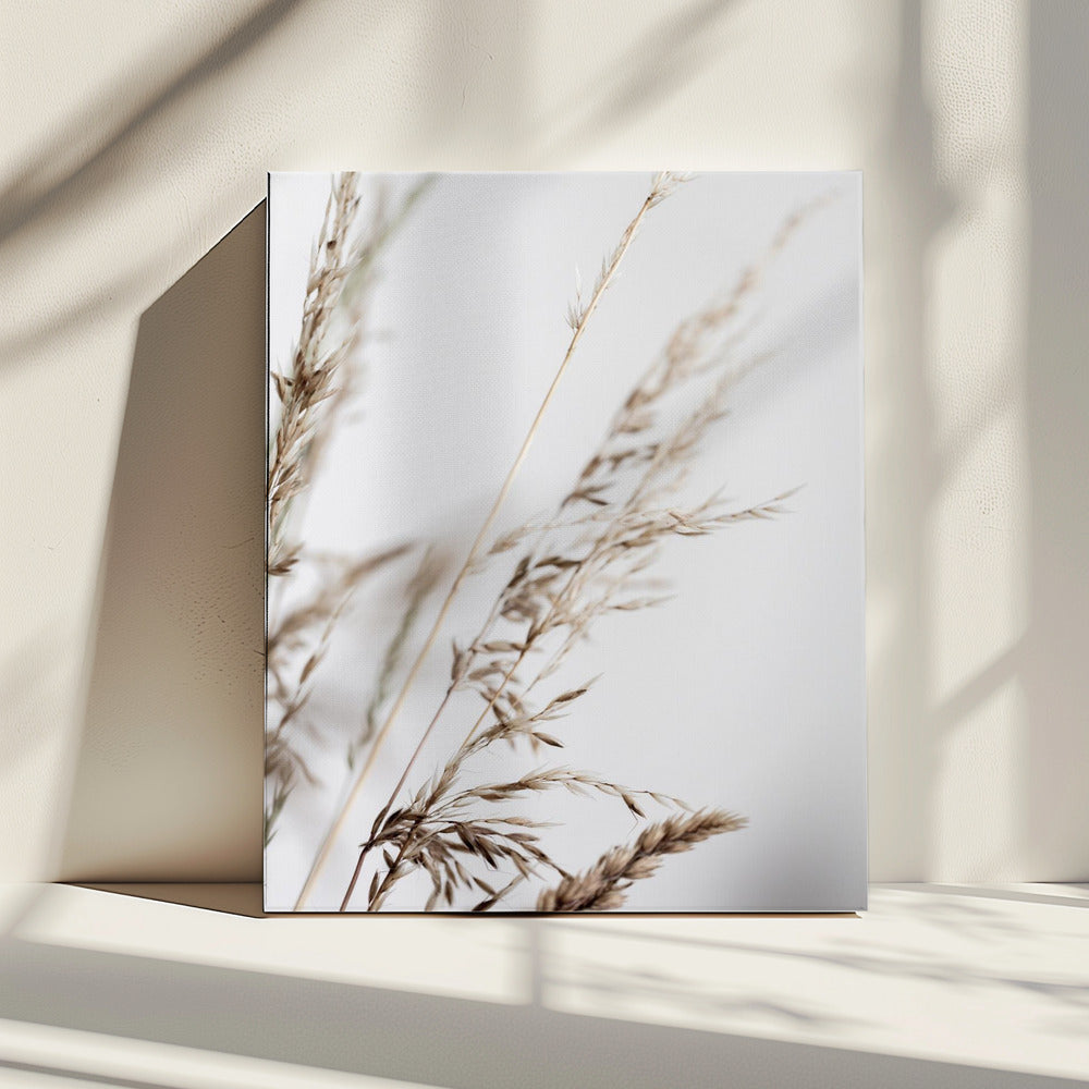 Summer Grass 2 | Canvas